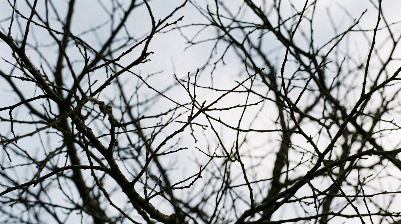 natural patterns resembling neural networks and cellular connections