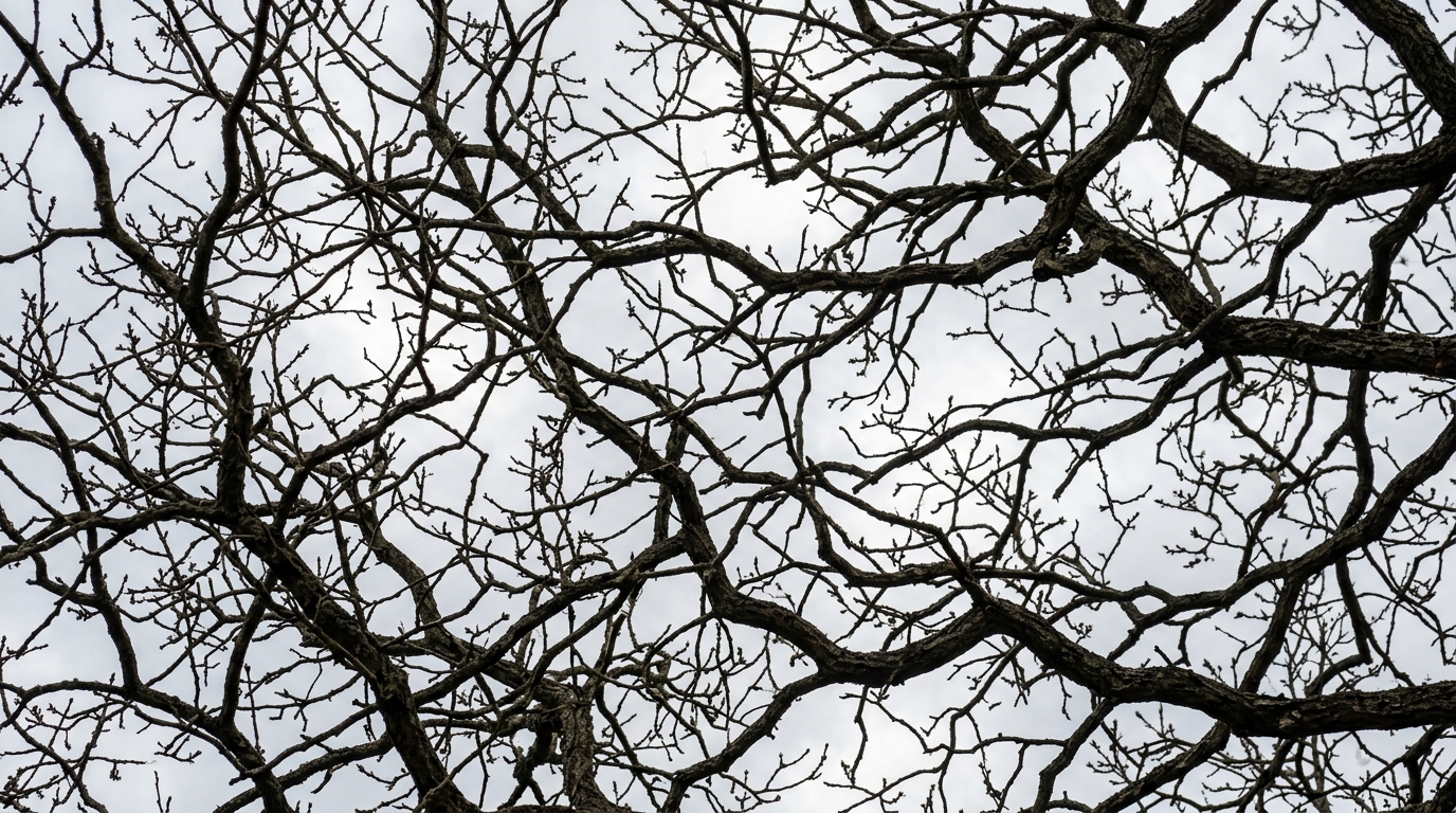 natural patterns resembling neural network connections