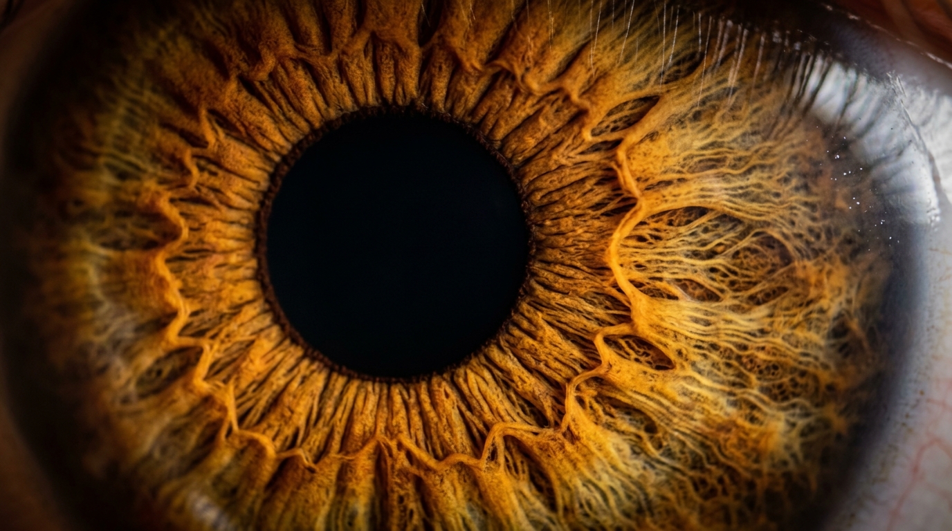 detailed macro view of human eye iris structure