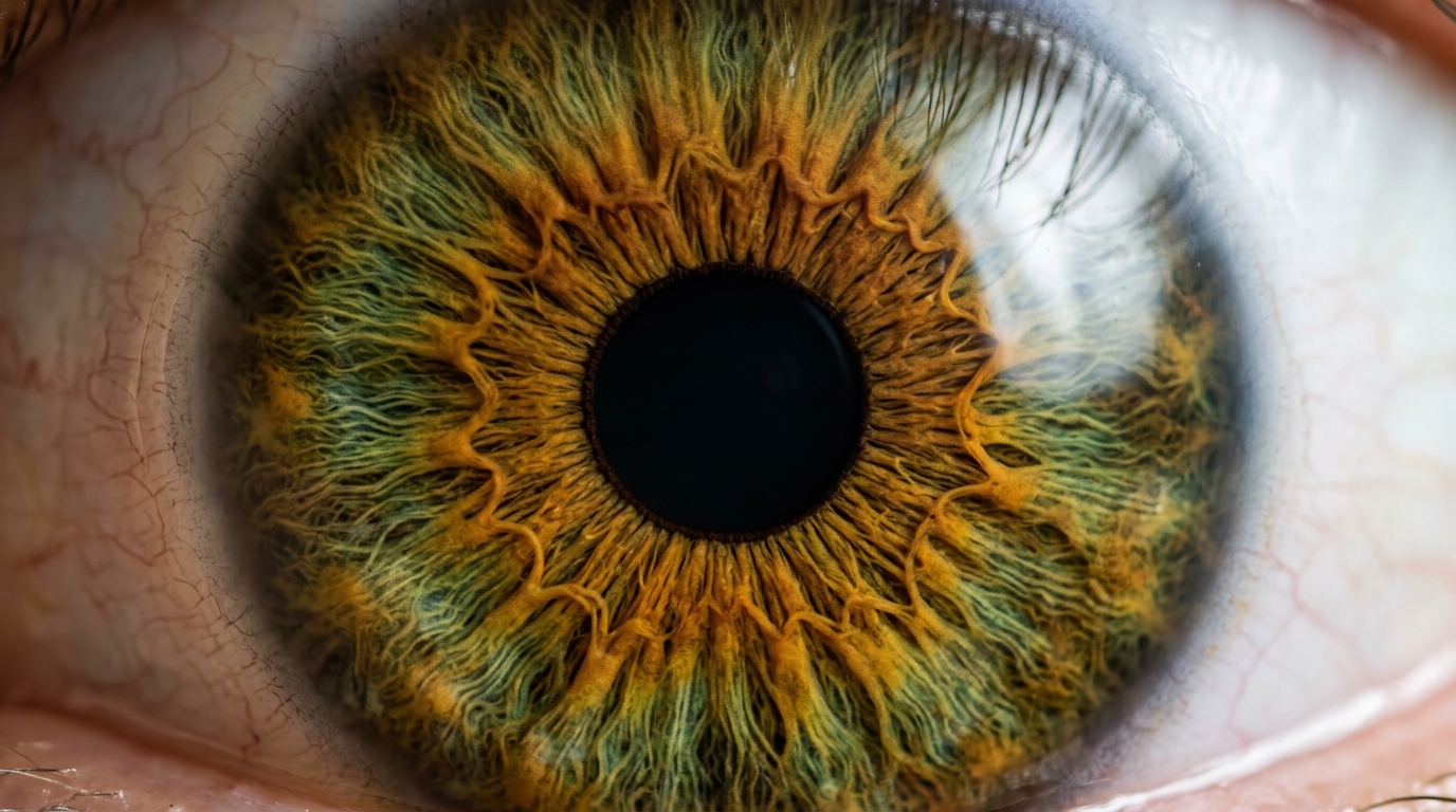 detailed macro view of human eye iris structure