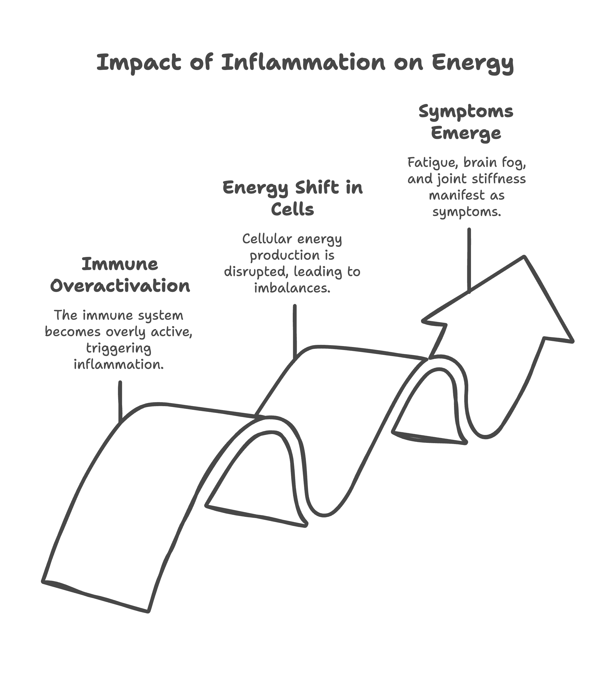 A visual process showing how inflammation leads to fatigue and brain fog.