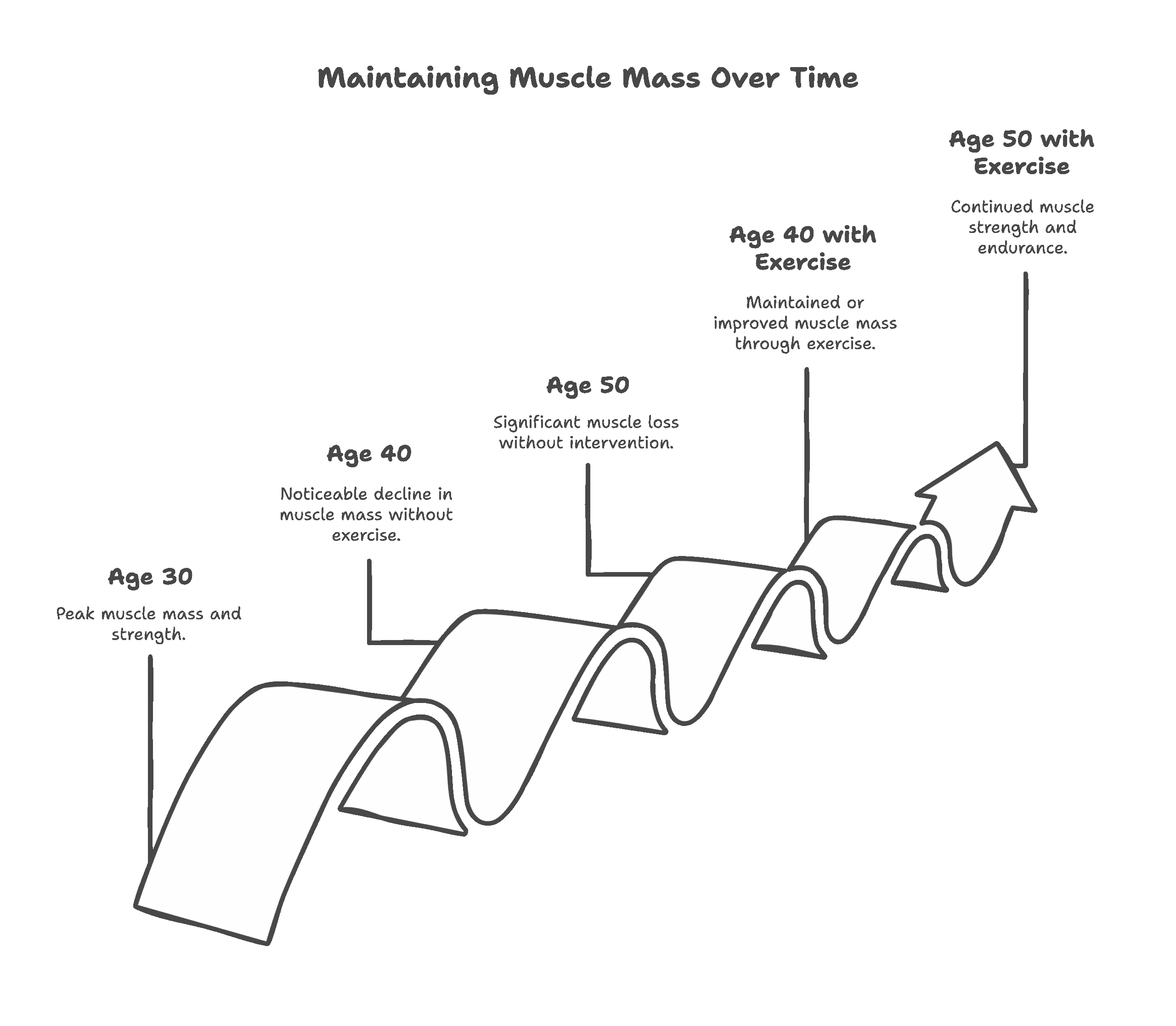Infographic showing age-related muscle decline with and without training.