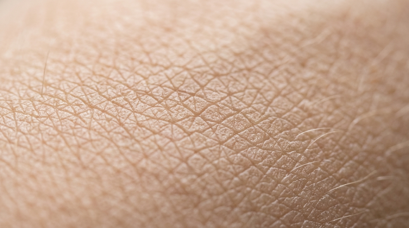close up skin texture showing cellular regeneration